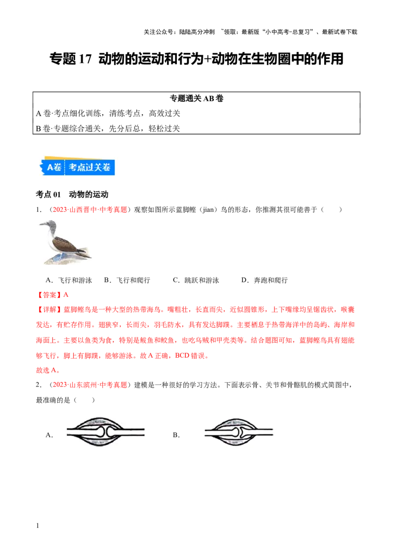 专题17动物的运动和行为+动物在生物圈中的作用（解析版）_02中考总复习（2026版更新中）_08-生物-中考总复习_2024年中考复习资料_一轮复习_练习