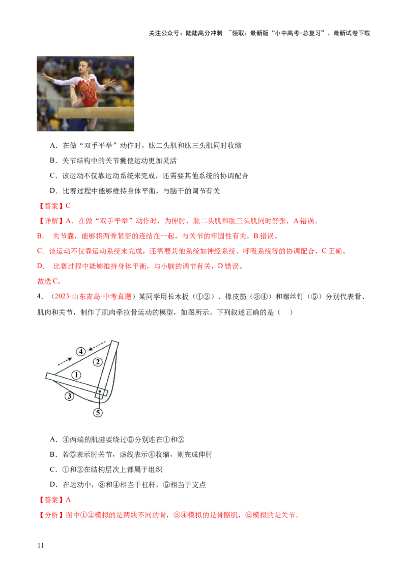 专题17动物的运动和行为+动物在生物圈中的作用（解析版）_02中考总复习（2026版更新中）_08-生物-中考总复习_2024年中考复习资料_一轮复习_练习