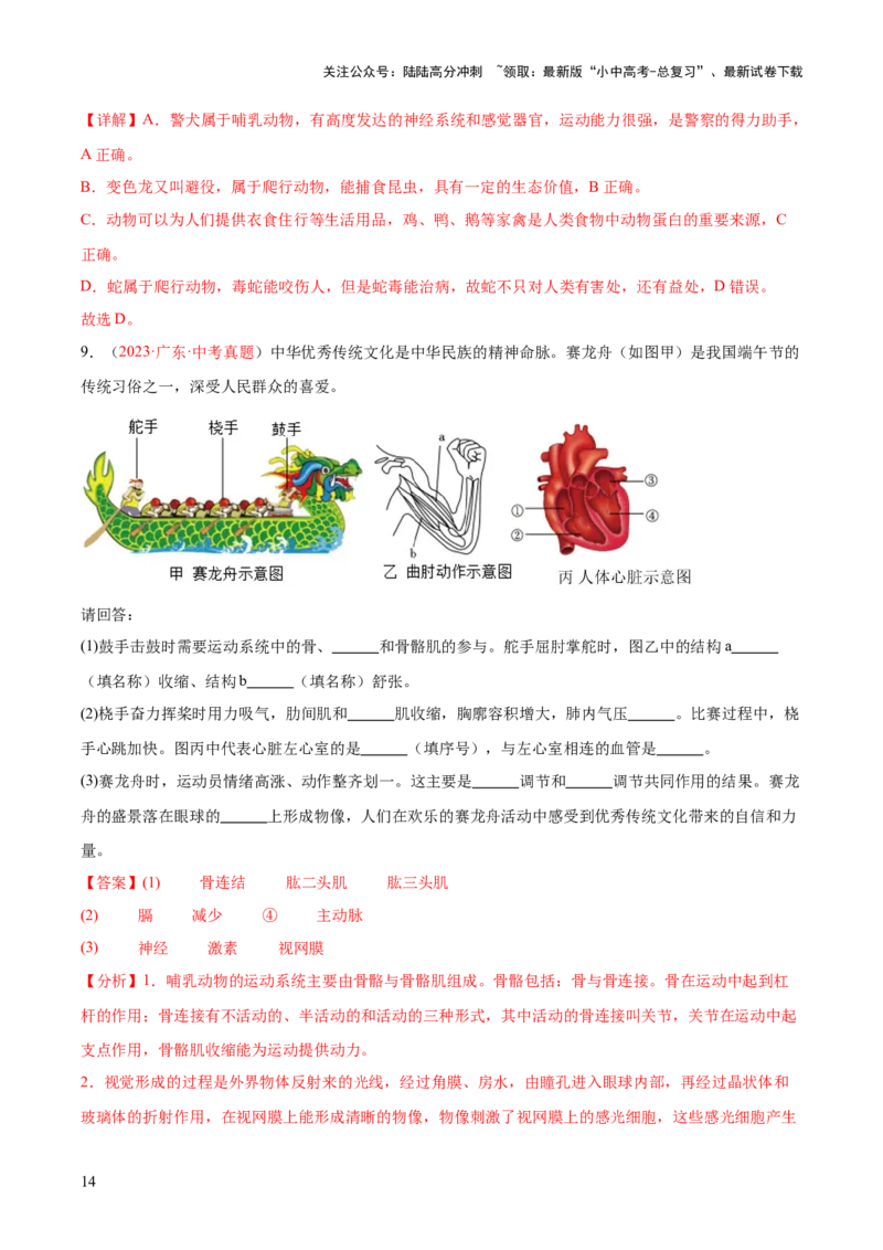 专题17动物的运动和行为+动物在生物圈中的作用（解析版）_02中考总复习（2026版更新中）_08-生物-中考总复习_2024年中考复习资料_一轮复习_练习