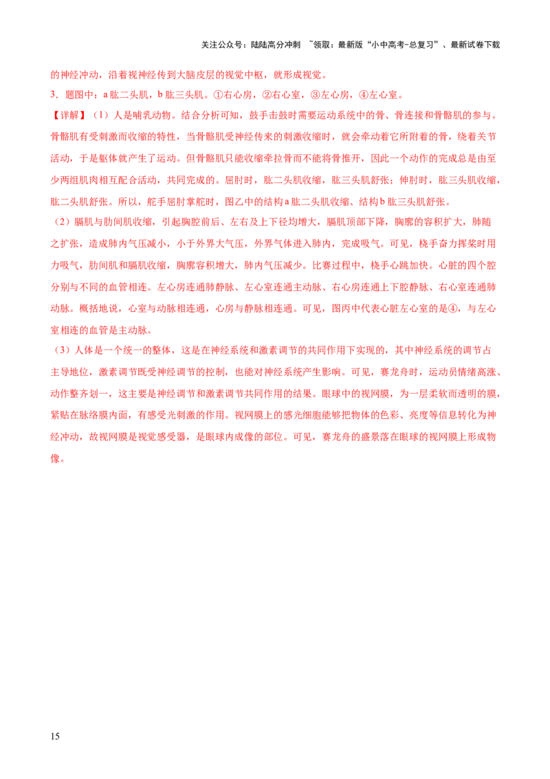 专题17动物的运动和行为+动物在生物圈中的作用（解析版）_02中考总复习（2026版更新中）_08-生物-中考总复习_2024年中考复习资料_一轮复习_练习