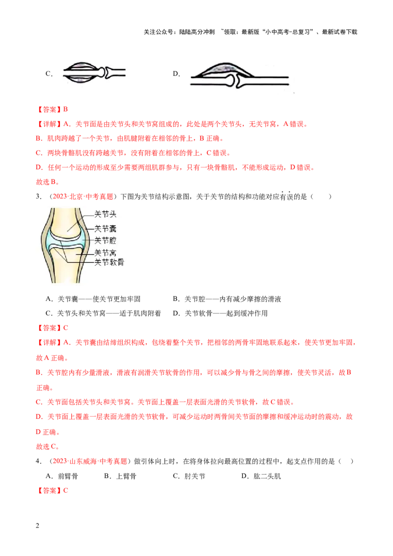 专题17动物的运动和行为+动物在生物圈中的作用（解析版）_02中考总复习（2026版更新中）_08-生物-中考总复习_2024年中考复习资料_一轮复习_练习