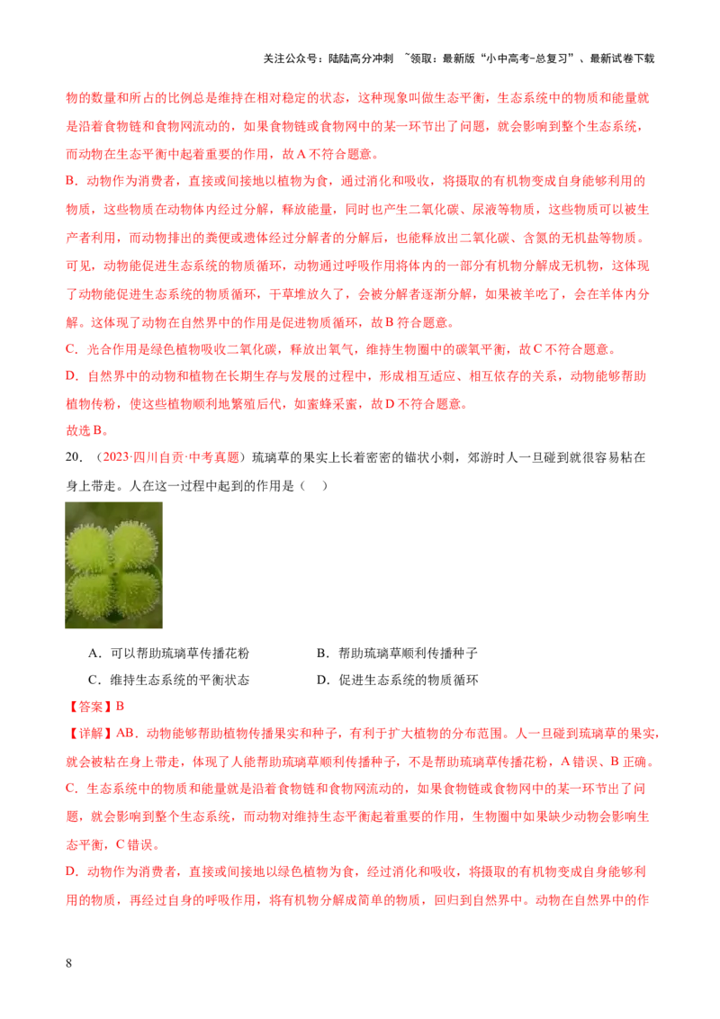 专题17动物的运动和行为+动物在生物圈中的作用（解析版）_02中考总复习（2026版更新中）_08-生物-中考总复习_2024年中考复习资料_一轮复习_练习