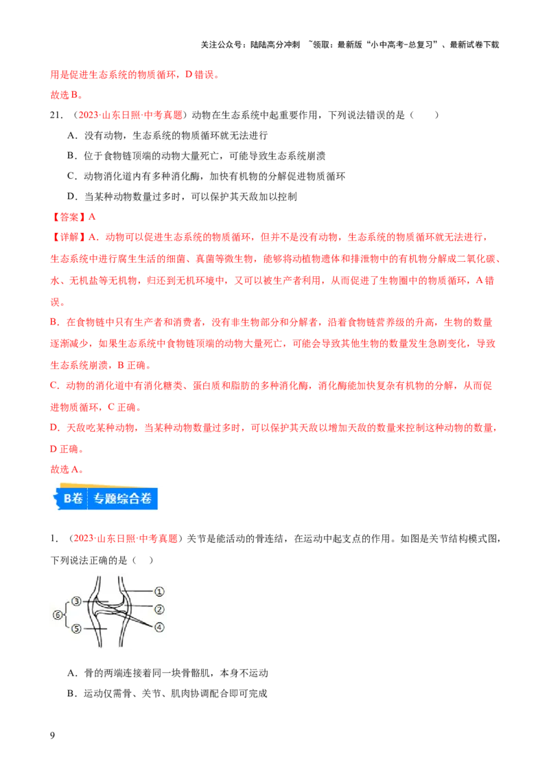 专题17动物的运动和行为+动物在生物圈中的作用（解析版）_02中考总复习（2026版更新中）_08-生物-中考总复习_2024年中考复习资料_一轮复习_练习