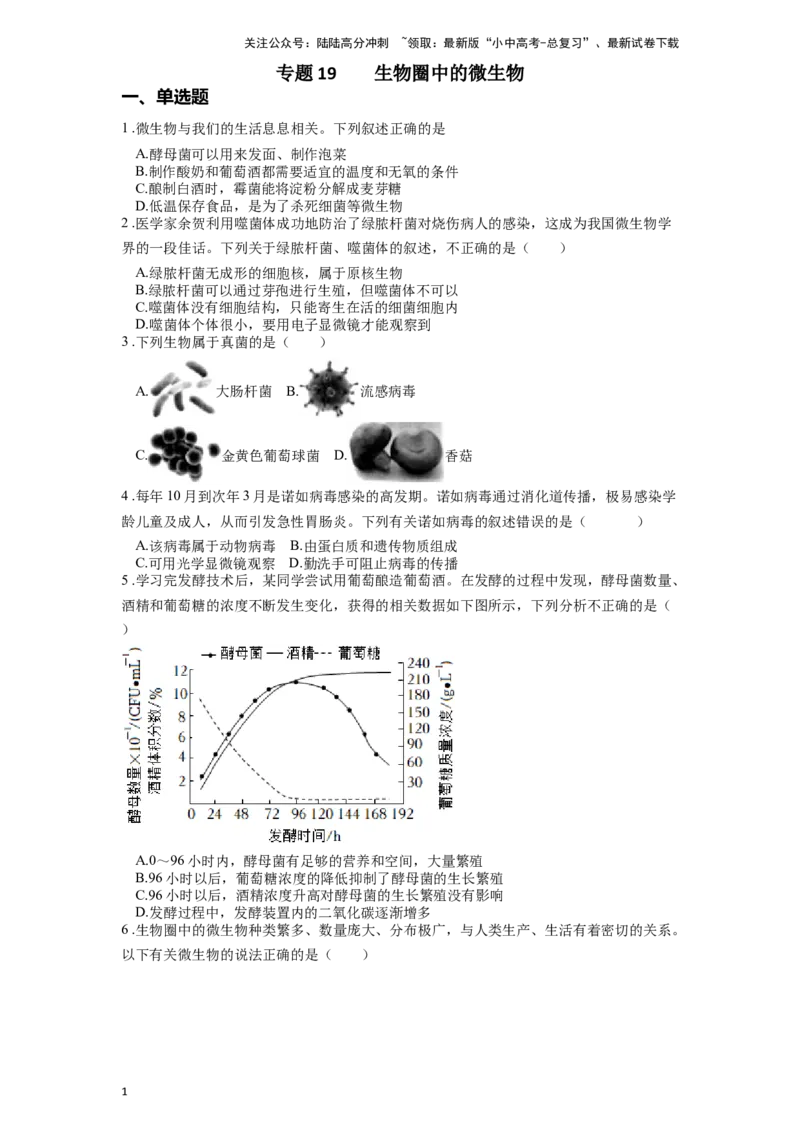 专题19生物圈中的微生物（原卷版）_02中考总复习（2026版更新中）_08-生物-中考总复习_2024年中考复习资料_一轮复习_配套练习