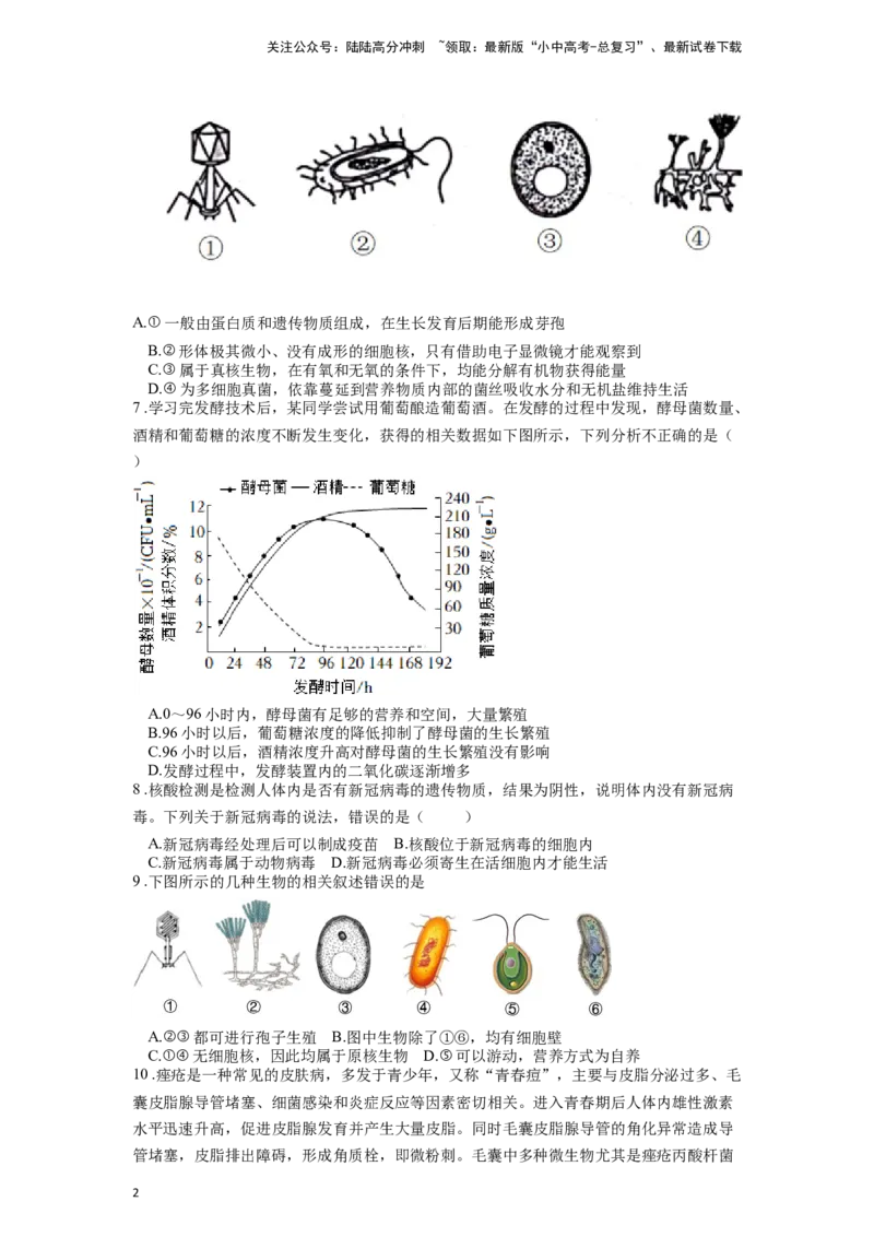 专题19生物圈中的微生物（原卷版）_02中考总复习（2026版更新中）_08-生物-中考总复习_2024年中考复习资料_一轮复习_配套练习