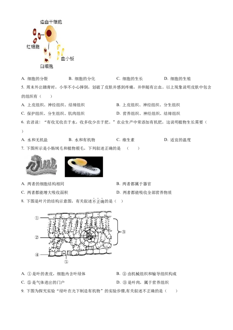 精品解析：2022年北京市第五中学分校中考一模生物试题（原卷版）(1)_北京初中期末题_C605-京七八九_B京生物七八九_北京八下生物_精品解析：2022年北京市第五中学分校中考一模生物试题