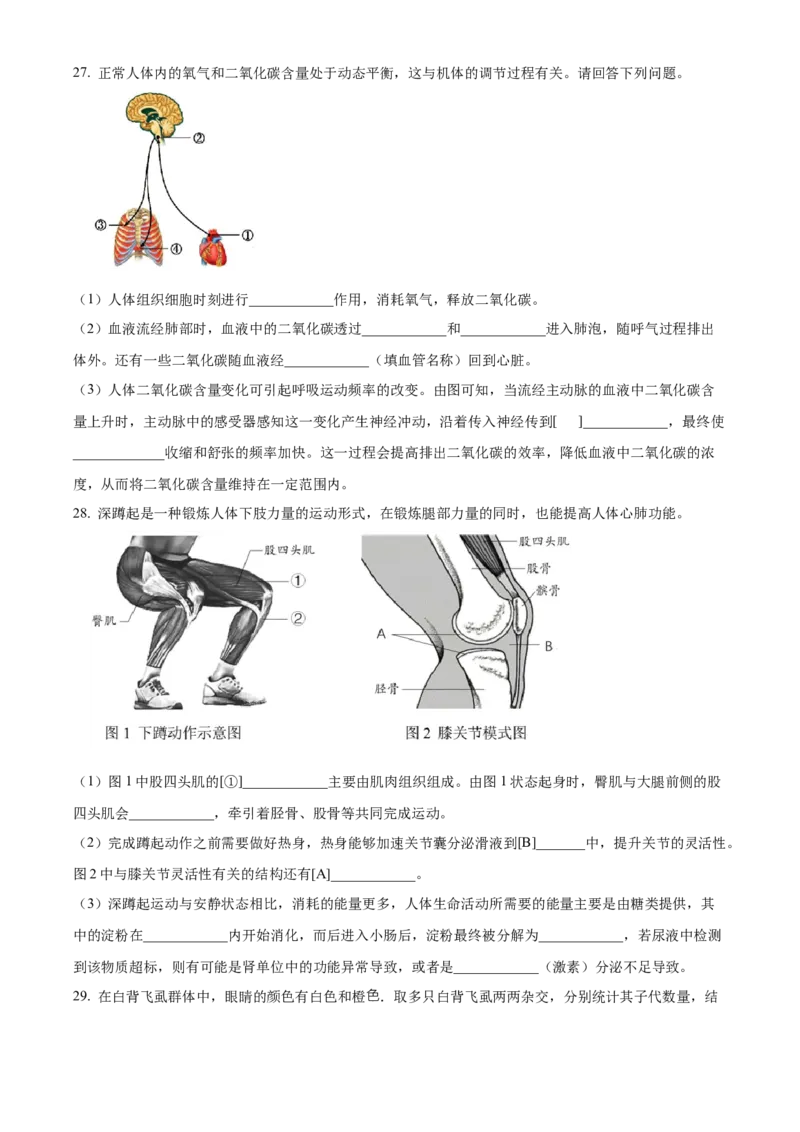 精品解析：2022年北京市第五中学分校中考一模生物试题（原卷版）(1)_北京初中期末题_C605-京七八九_B京生物七八九_北京八下生物_精品解析：2022年北京市第五中学分校中考一模生物试题