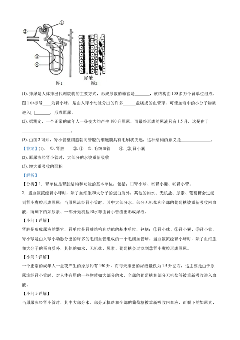 精品解析：北京市延庆区2020-2021学年七年级下学期期末生物试题（解析版）(1)_北京初中期末题_C605-京七八九_B京生物七八九_北京7下生物_2020-2021