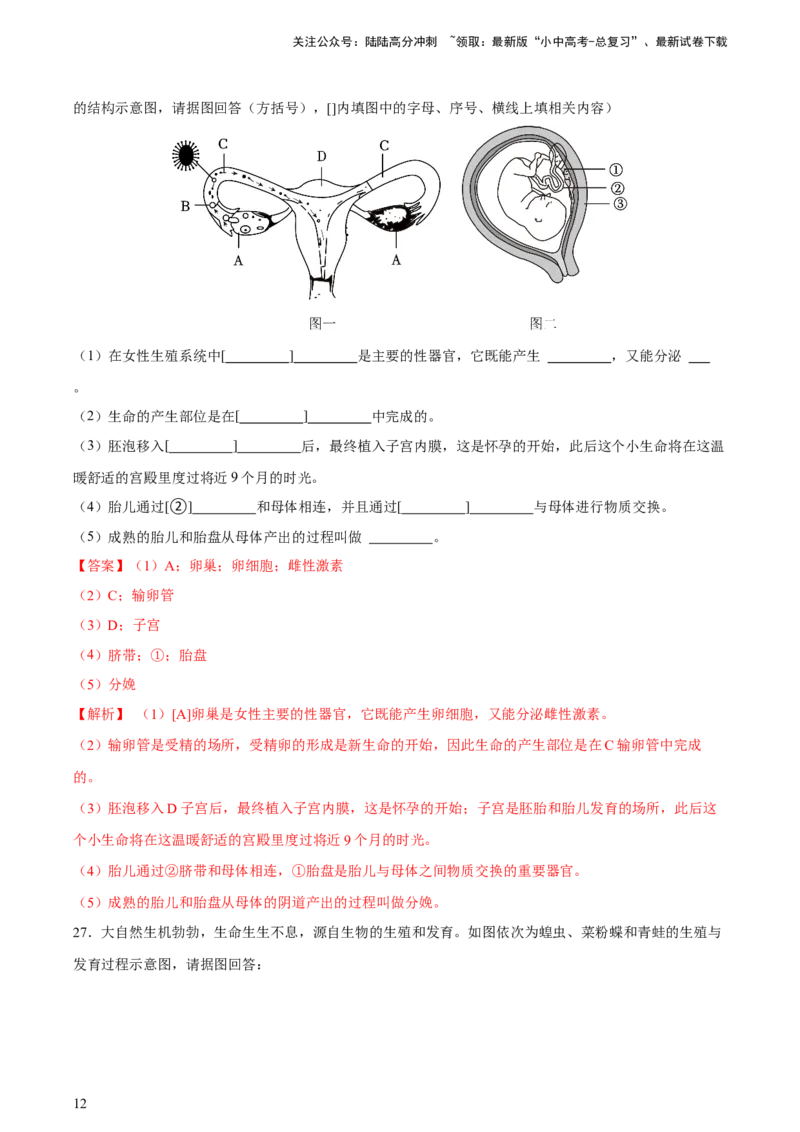 专题20生物的生殖和发育（习题精练）-省心备考2024年中考生物一轮复习精讲精练（全国通用）（解析版）_02中考总复习（2026版更新中）_08-生物-中考总复习_2024年中考复习资料
