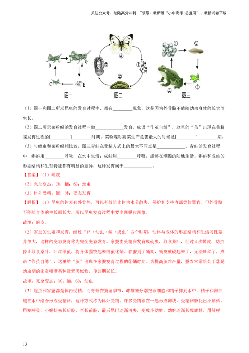 专题20生物的生殖和发育（习题精练）-省心备考2024年中考生物一轮复习精讲精练（全国通用）（解析版）_02中考总复习（2026版更新中）_08-生物-中考总复习_2024年中考复习资料