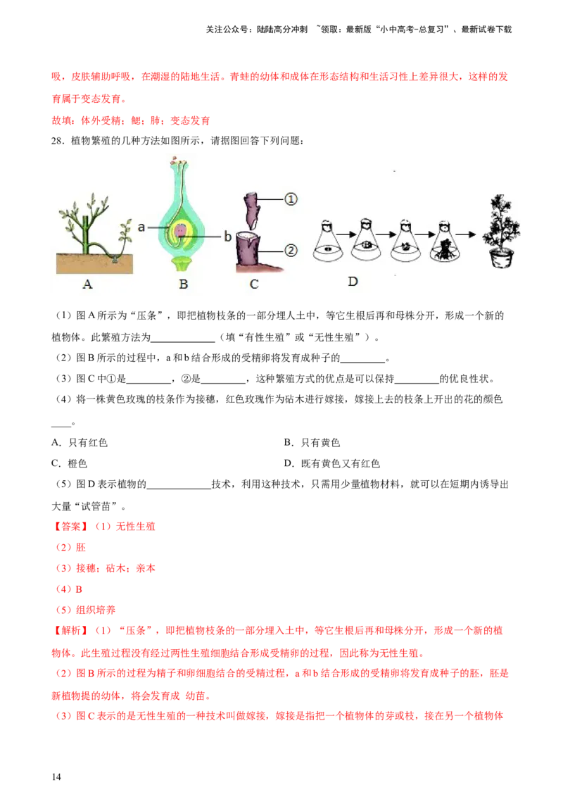 专题20生物的生殖和发育（习题精练）-省心备考2024年中考生物一轮复习精讲精练（全国通用）（解析版）_02中考总复习（2026版更新中）_08-生物-中考总复习_2024年中考复习资料