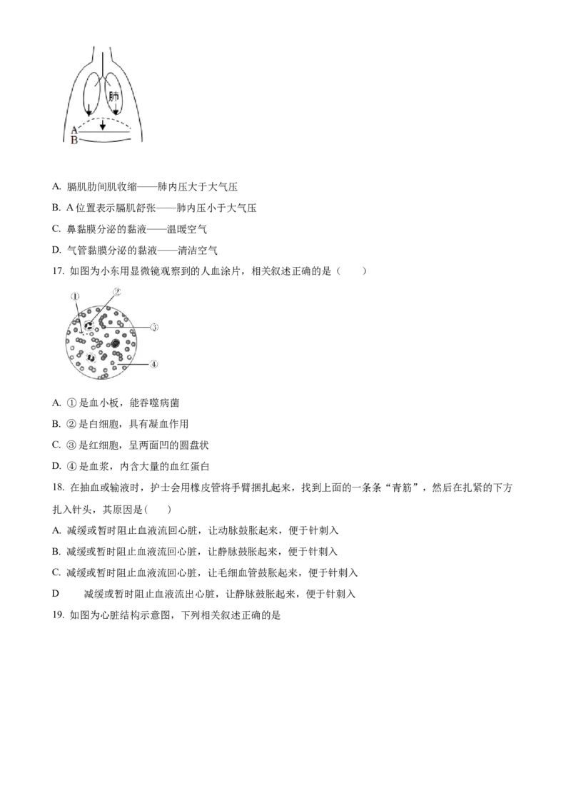 精品解析：北京市一六一中学2021-2022学年八年级下学期期中生物试题（原卷版）(1)_北京初中期末题_C605-京七八九_B京生物七八九_北京八下生物