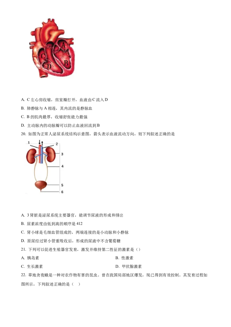 精品解析：北京市一六一中学2021-2022学年八年级下学期期中生物试题（原卷版）(1)_北京初中期末题_C605-京七八九_B京生物七八九_北京八下生物