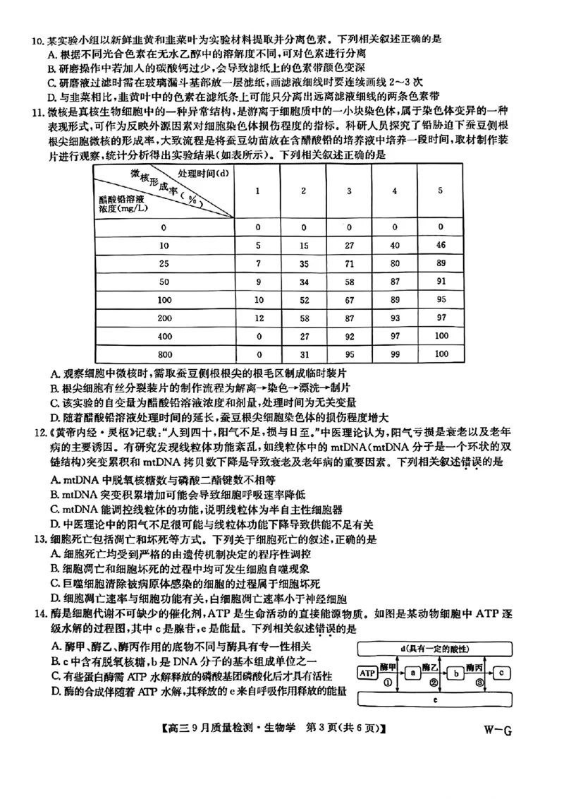 九师联盟2025届高三10月联考（W-G）生物试题_A1502026各地模拟卷（超值！）_10月_2410082025届九师联盟高三10月8联考（9月质量检测巩固卷G）