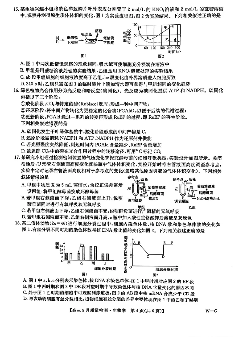九师联盟2025届高三10月联考（W-G）生物试题_A1502026各地模拟卷（超值！）_10月_2410082025届九师联盟高三10月8联考（9月质量检测巩固卷G）