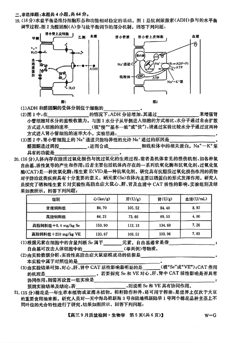 九师联盟2025届高三10月联考（W-G）生物试题_A1502026各地模拟卷（超值！）_10月_2410082025届九师联盟高三10月8联考（9月质量检测巩固卷G）