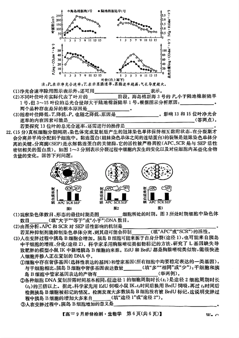 九师联盟2025届高三10月联考（W-G）生物试题_A1502026各地模拟卷（超值！）_10月_2410082025届九师联盟高三10月8联考（9月质量检测巩固卷G）