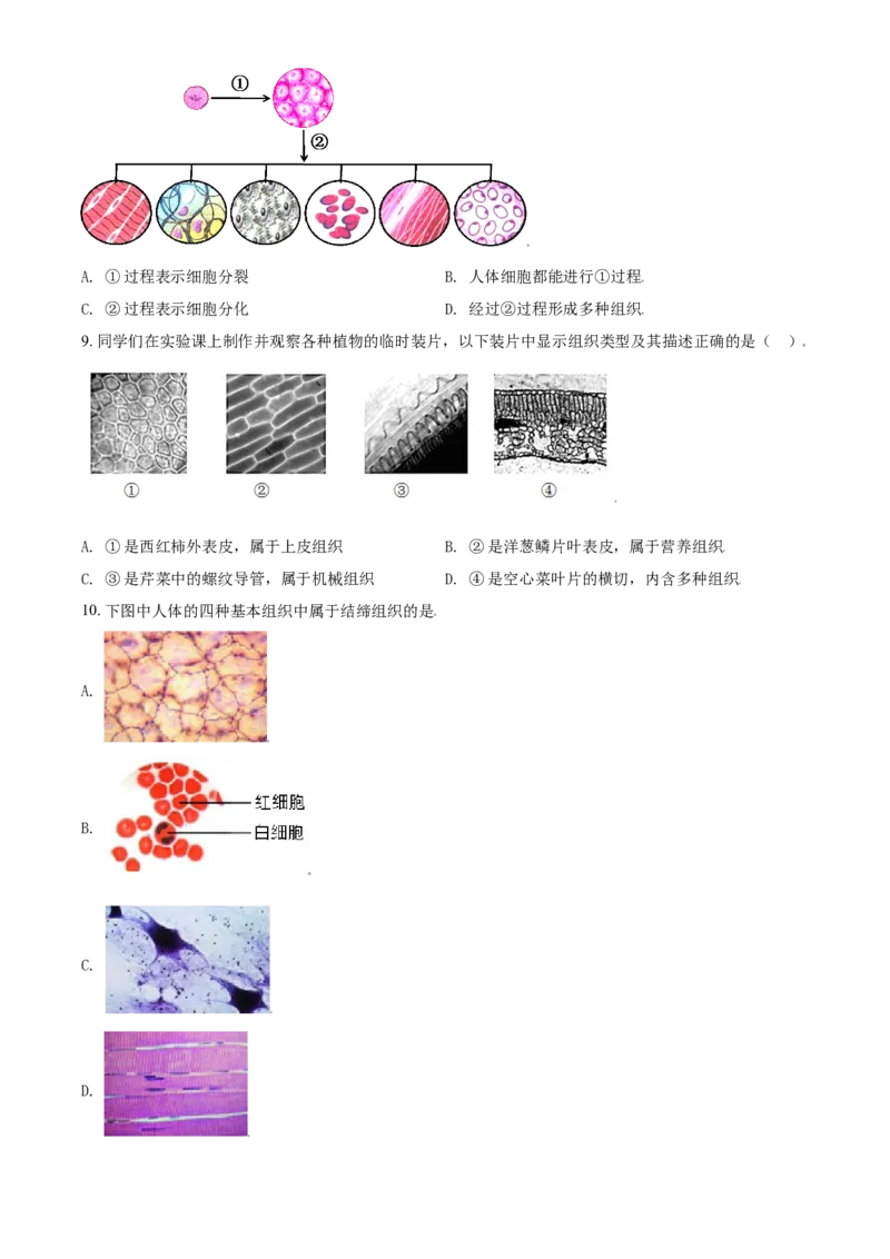 精品解析：北京市密云区2020-2021学年七年级上学期期末生物试题（原卷版）(1)_北京初中期末题_C605-京七八九_B京生物七八九_北京7上生物_2020-2021