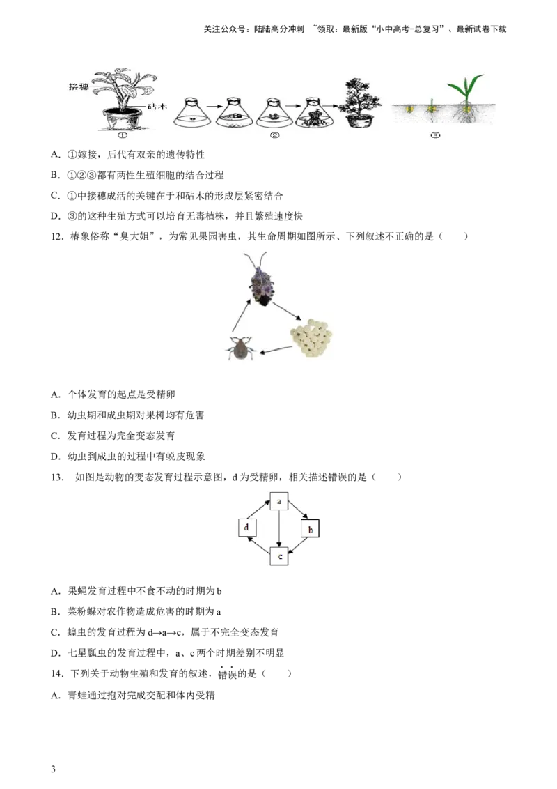 专题20生物的生殖和发育（习题精练）-省心备考2024年中考生物一轮复习精讲精练（全国通用）（原卷版）_02中考总复习（2026版更新中）_08-生物-中考总复习_2024年中考复习资料