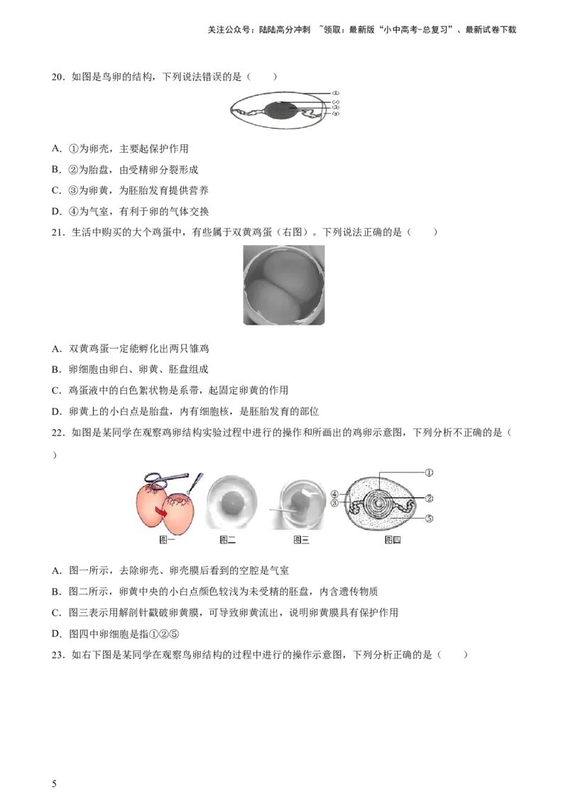 专题20生物的生殖和发育（习题精练）-省心备考2024年中考生物一轮复习精讲精练（全国通用）（原卷版）_02中考总复习（2026版更新中）_08-生物-中考总复习_2024年中考复习资料
