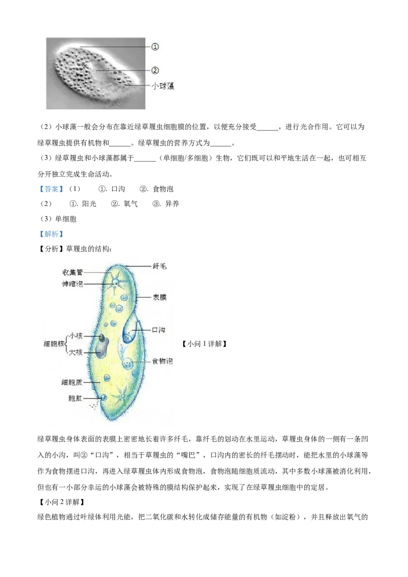 精品解析：北京市平谷区2021-2022学年七年级上学期期末生物试题（解析版）(1)_北京初中期末题_C605-京七八九_B京生物七八九_北京7上生物_2021-2022