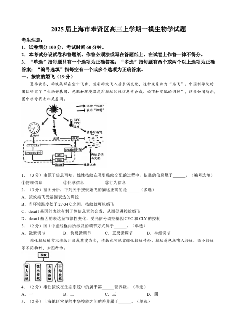 上海市奉贤区2024-2025学年高三上学期一模生物学试题（含答案）_A1502026各地模拟卷（超值！）_12月_241216上海市奉贤区2025届高三上学期一模