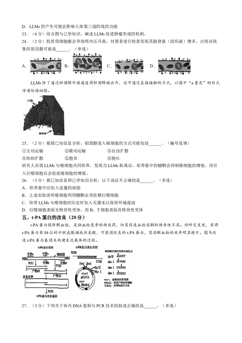 上海市奉贤区2024-2025学年高三上学期一模生物学试题（含答案）_A1502026各地模拟卷（超值！）_12月_241216上海市奉贤区2025届高三上学期一模