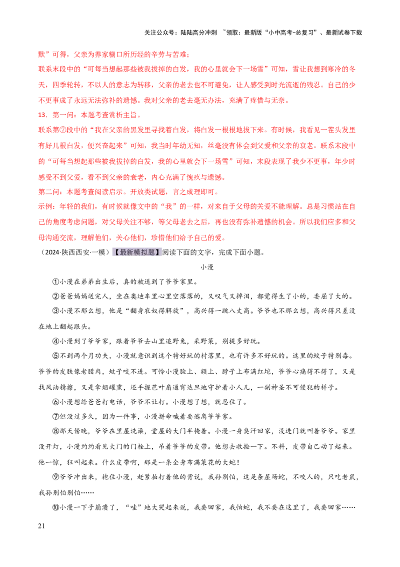 专题19词、句、段的作用及赏析（讲练）-2024年中考语文二轮复习讲练测（全国通用）（解析版）_02中考总复习（2026版更新中）_01-语文-中考总复习_2024年中考资料_二轮复习_讲义