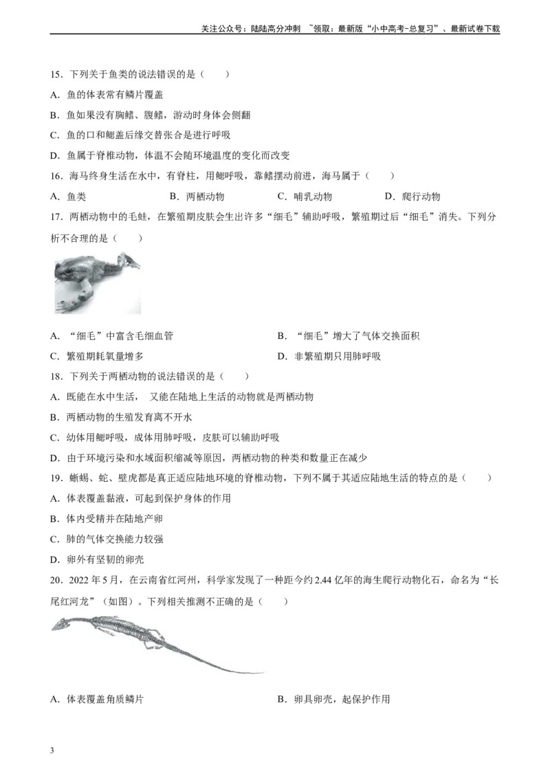 专题16动物的主要类群（习题精练）-省心备考2024年中考生物一轮复习精讲精练（全国通用）（原卷版）_02中考总复习（2026版更新中）_08-生物-中考总复习_2024年中考复习资料_一轮复习