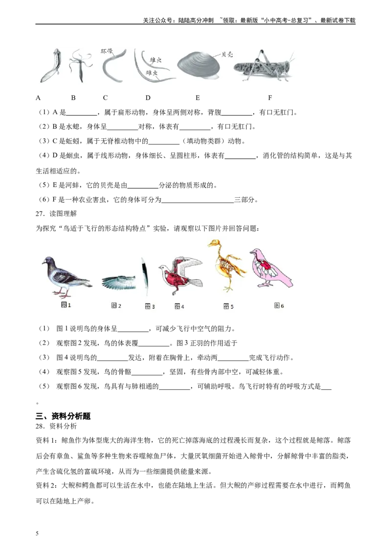 专题16动物的主要类群（习题精练）-省心备考2024年中考生物一轮复习精讲精练（全国通用）（原卷版）_02中考总复习（2026版更新中）_08-生物-中考总复习_2024年中考复习资料_一轮复习