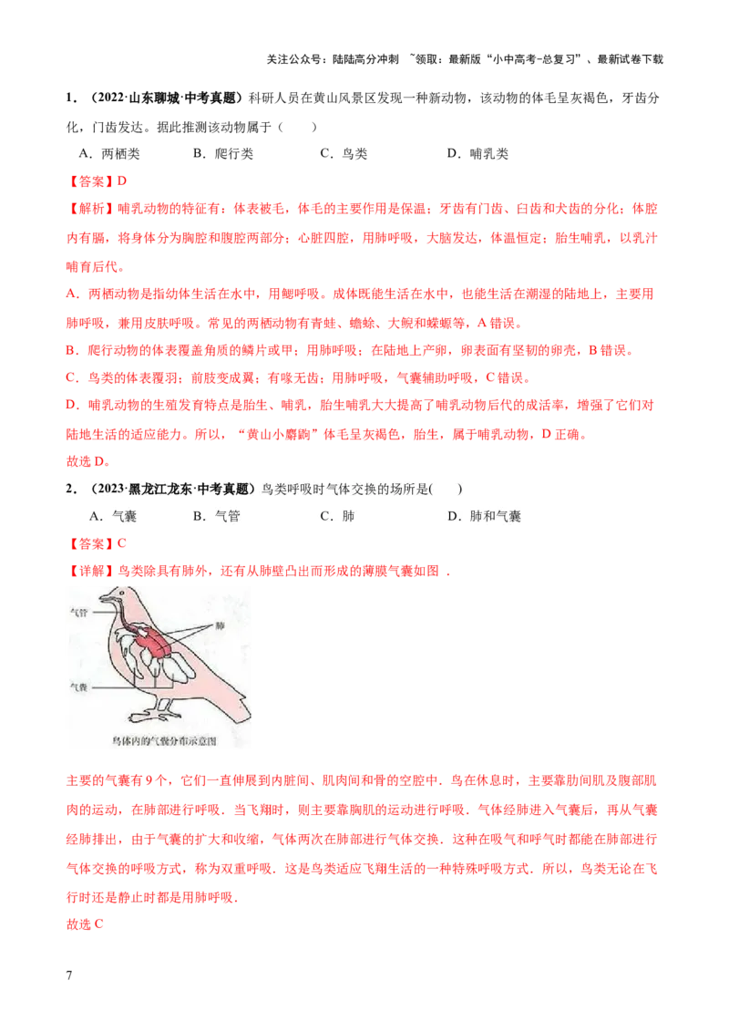 专题16动物的主要类群（练习）（解析版）_02中考总复习（2026版更新中）_08-生物-中考总复习_2024年中考复习资料_一轮复习_❤2024年中考生物一轮复习讲练测（全国通用）_练习