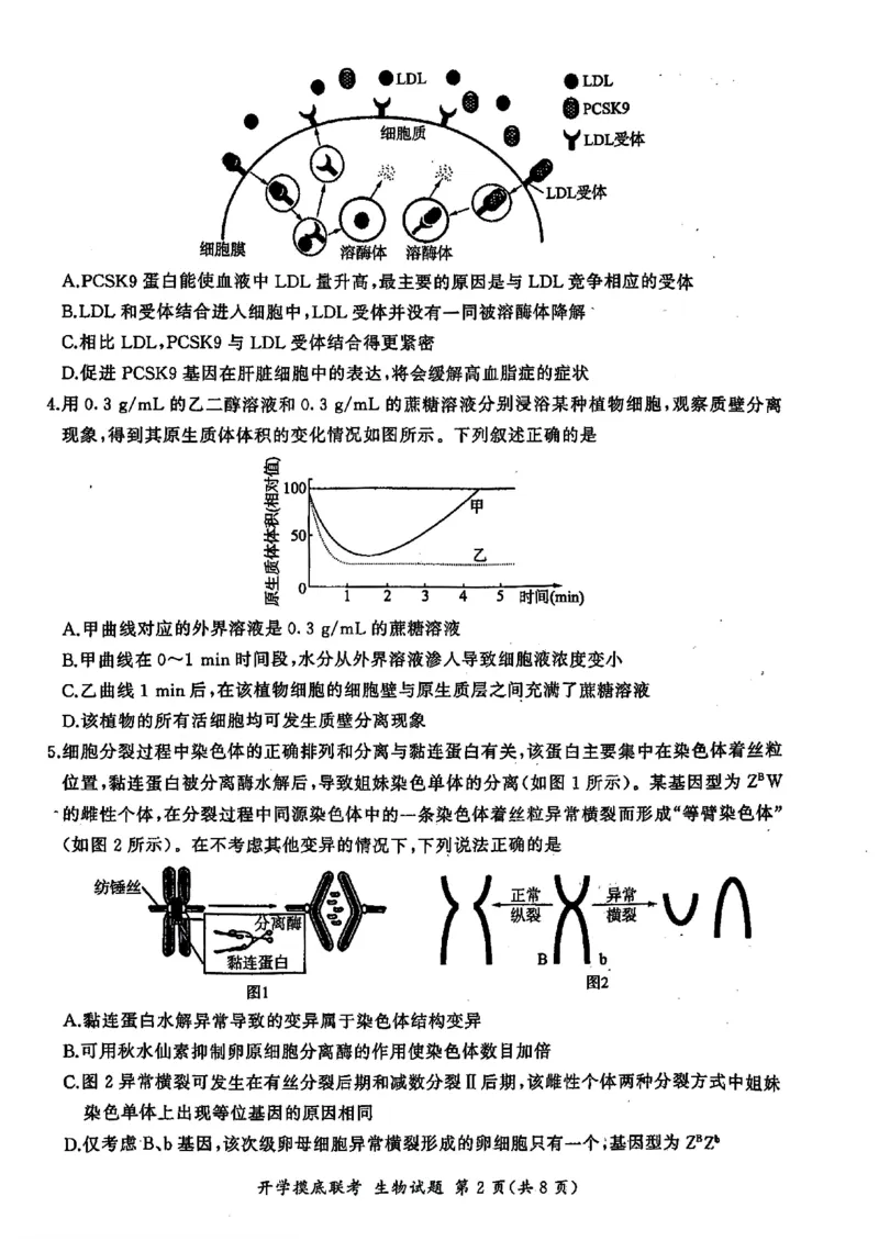 山东省百师联盟高三开学摸底联考（百S）+生物_A1502026各地模拟卷（超值！）_9月_240908山东省百师联盟高三开学摸底联考