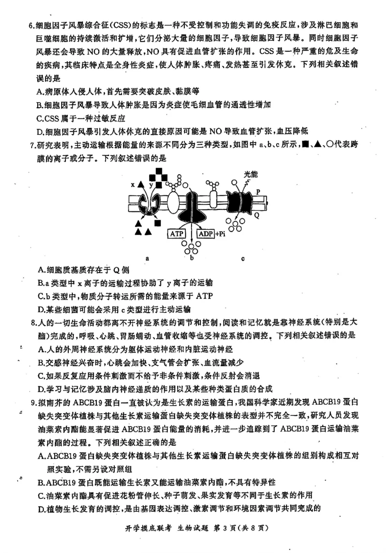 山东省百师联盟高三开学摸底联考（百S）+生物_A1502026各地模拟卷（超值！）_9月_240908山东省百师联盟高三开学摸底联考