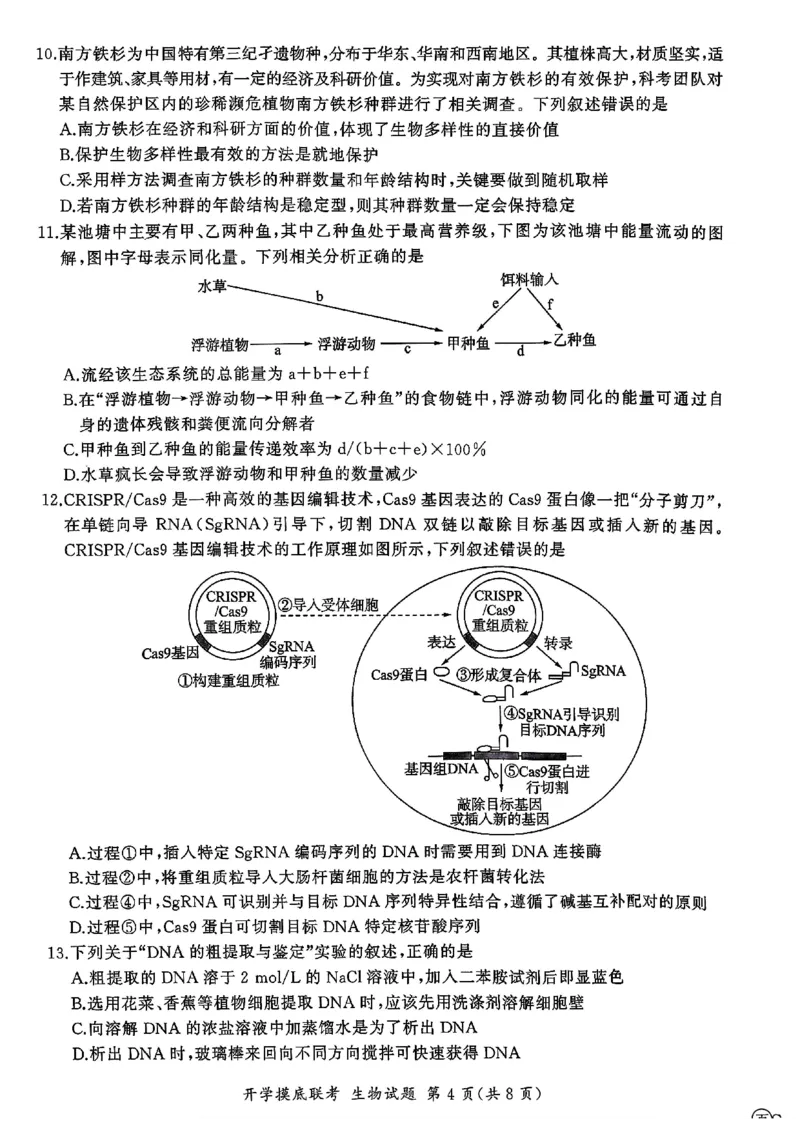 山东省百师联盟高三开学摸底联考（百S）+生物_A1502026各地模拟卷（超值！）_9月_240908山东省百师联盟高三开学摸底联考