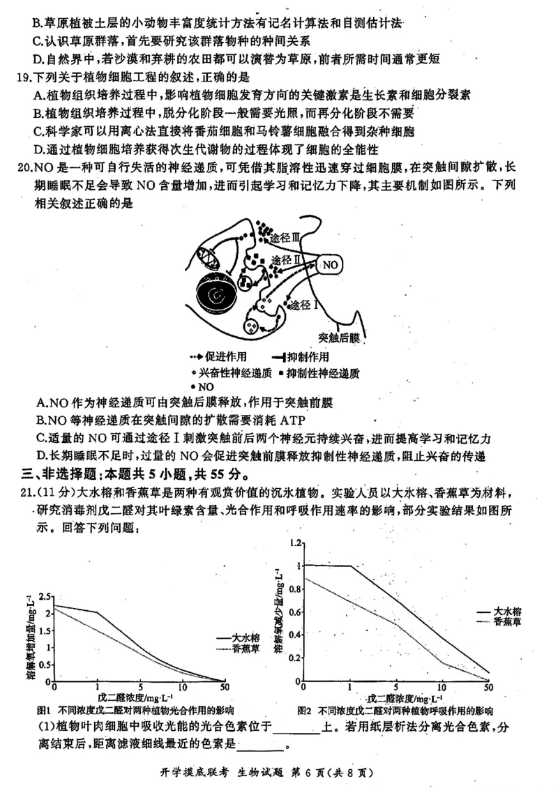 山东省百师联盟高三开学摸底联考（百S）+生物_A1502026各地模拟卷（超值！）_9月_240908山东省百师联盟高三开学摸底联考