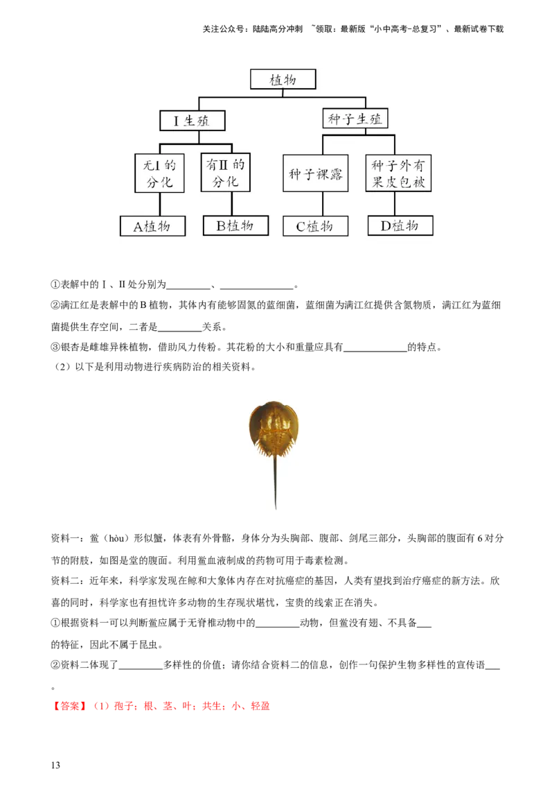 专题19生物的多样性及其保护（习题精练）-省心备考2024年中考生物一轮复习精讲精练（全国通用）（解析版）_02中考总复习（2026版更新中）_08-生物-中考总复习_2024年中考复习资料