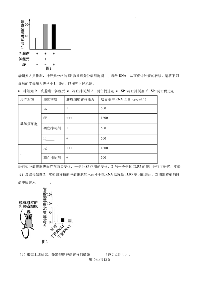 北京市通州区2025届高三上学期11月期中质量检测生物_A1502026各地模拟卷（超值！）_12月_241217北京市通州区2025届高三上学期11月期中质量检测试卷
