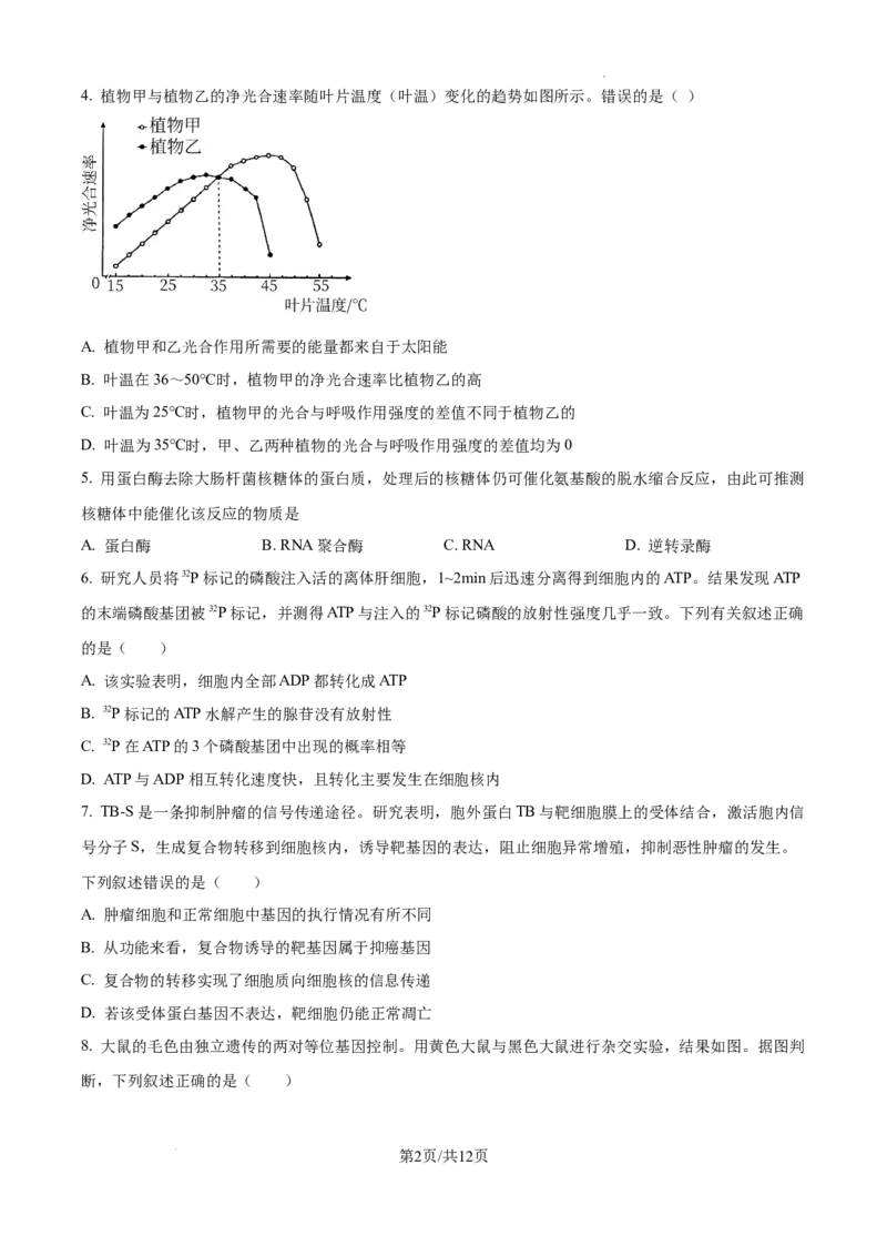 北京市通州区2025届高三上学期11月期中质量检测生物_A1502026各地模拟卷（超值！）_12月_241217北京市通州区2025届高三上学期11月期中质量检测试卷