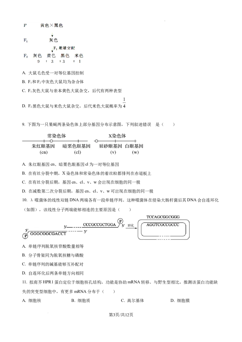 北京市通州区2025届高三上学期11月期中质量检测生物_A1502026各地模拟卷（超值！）_12月_241217北京市通州区2025届高三上学期11月期中质量检测试卷