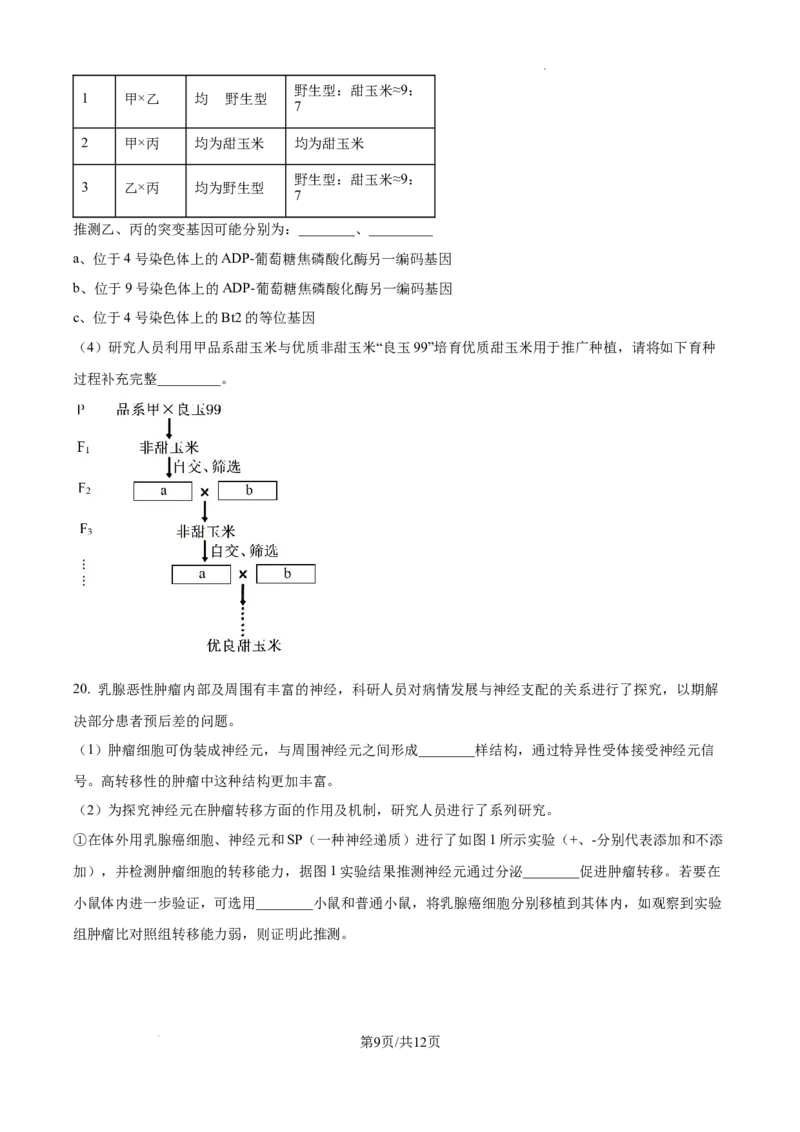 北京市通州区2025届高三上学期11月期中质量检测生物_A1502026各地模拟卷（超值！）_12月_241217北京市通州区2025届高三上学期11月期中质量检测试卷