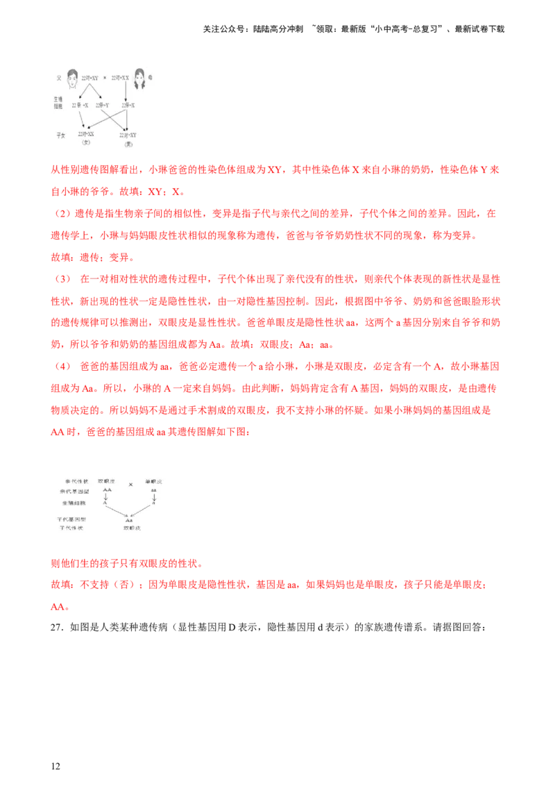 专题21生物的遗传和变异（习题精练）-省心备考2024年中考生物一轮复习精讲精练（全国通用）（解析版）_02中考总复习（2026版更新中）_08-生物-中考总复习_2024年中考复习资料