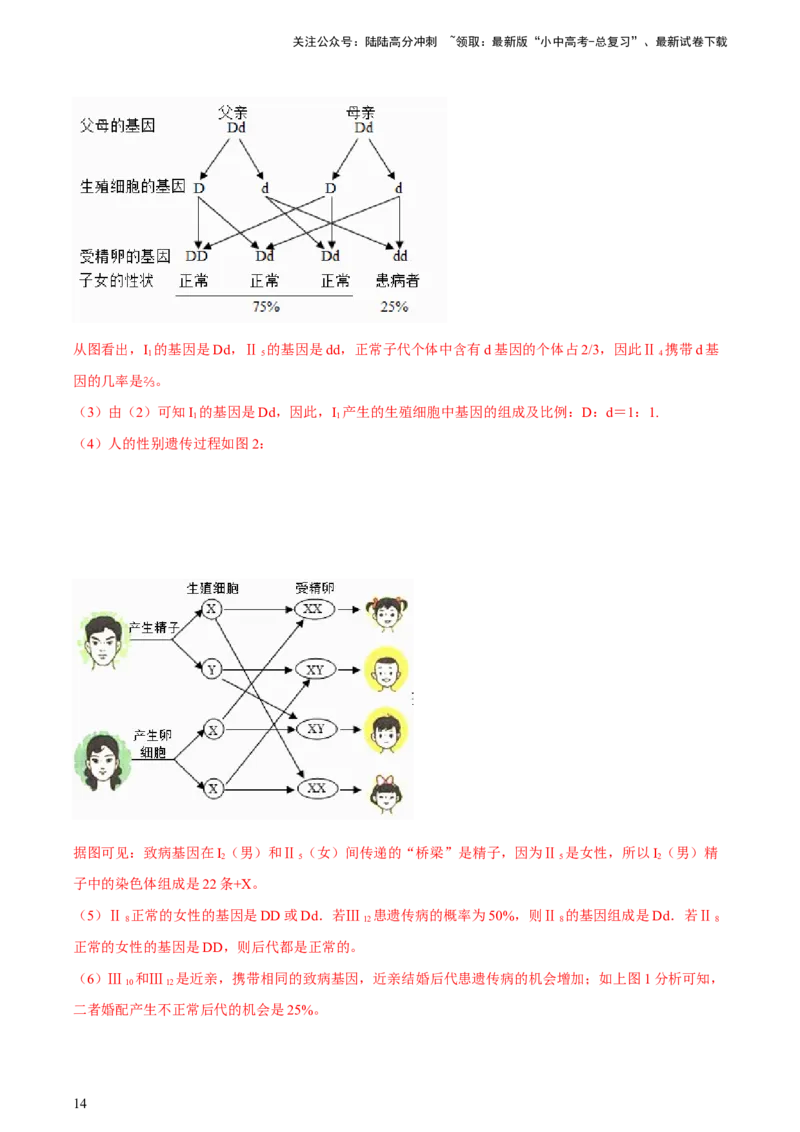 专题21生物的遗传和变异（习题精练）-省心备考2024年中考生物一轮复习精讲精练（全国通用）（解析版）_02中考总复习（2026版更新中）_08-生物-中考总复习_2024年中考复习资料