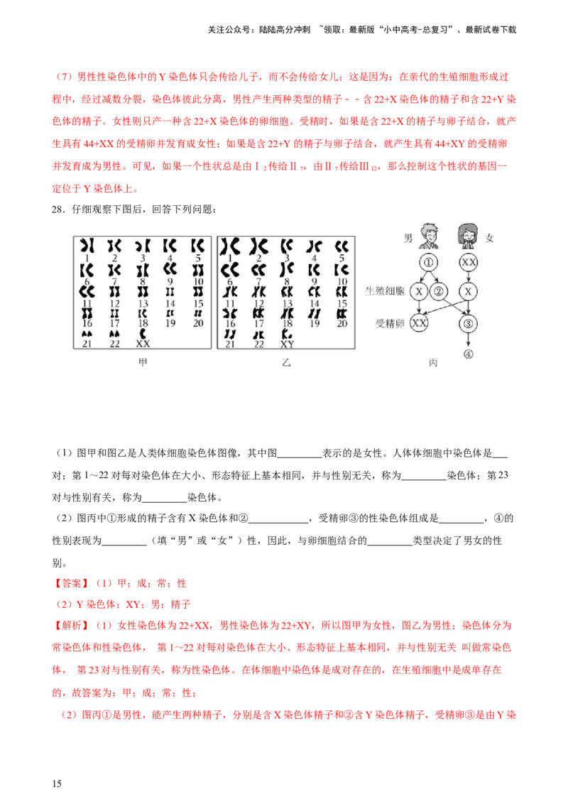 专题21生物的遗传和变异（习题精练）-省心备考2024年中考生物一轮复习精讲精练（全国通用）（解析版）_02中考总复习（2026版更新中）_08-生物-中考总复习_2024年中考复习资料