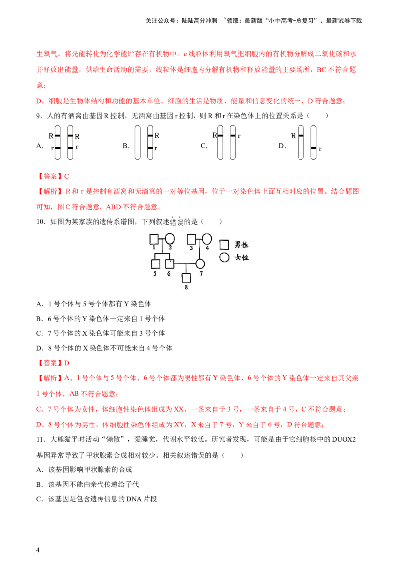 专题21生物的遗传和变异（习题精练）-省心备考2024年中考生物一轮复习精讲精练（全国通用）（解析版）_02中考总复习（2026版更新中）_08-生物-中考总复习_2024年中考复习资料