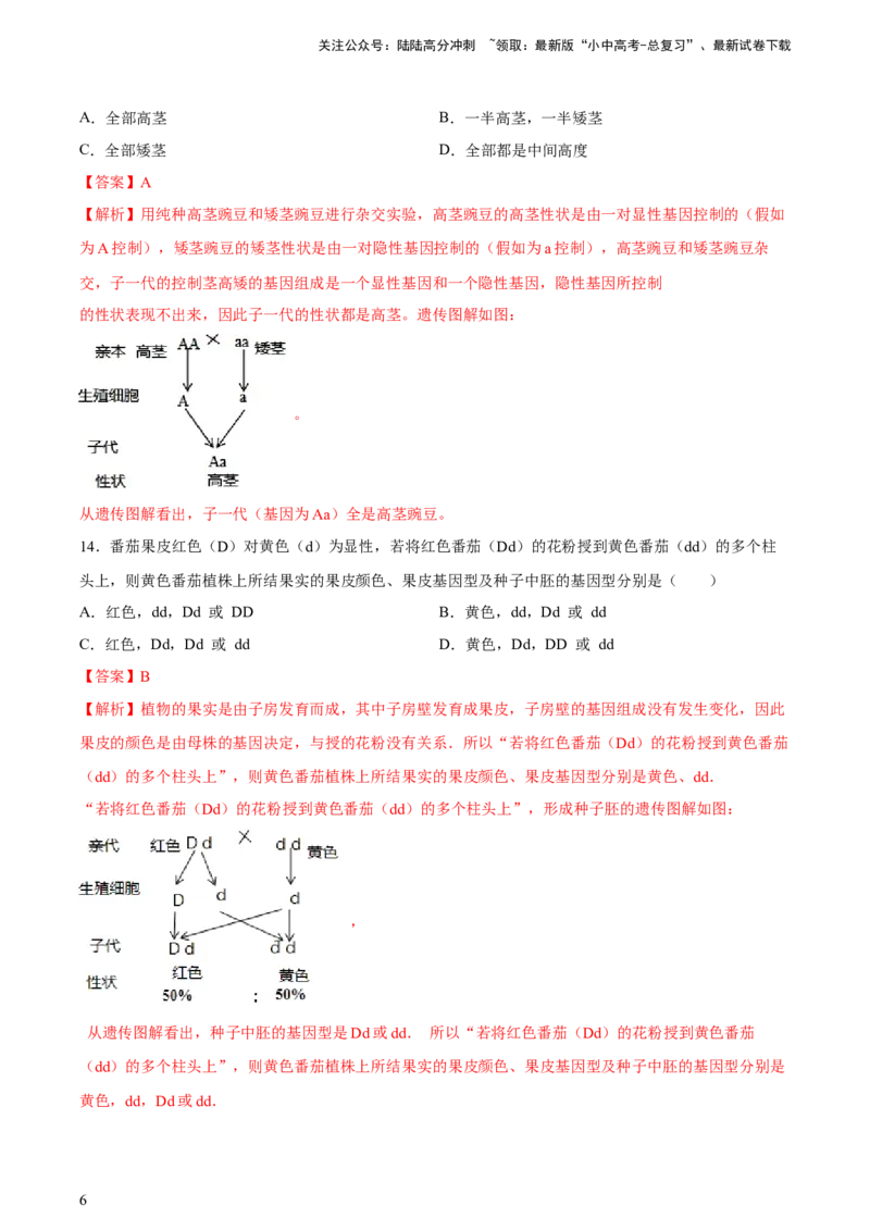 专题21生物的遗传和变异（习题精练）-省心备考2024年中考生物一轮复习精讲精练（全国通用）（解析版）_02中考总复习（2026版更新中）_08-生物-中考总复习_2024年中考复习资料