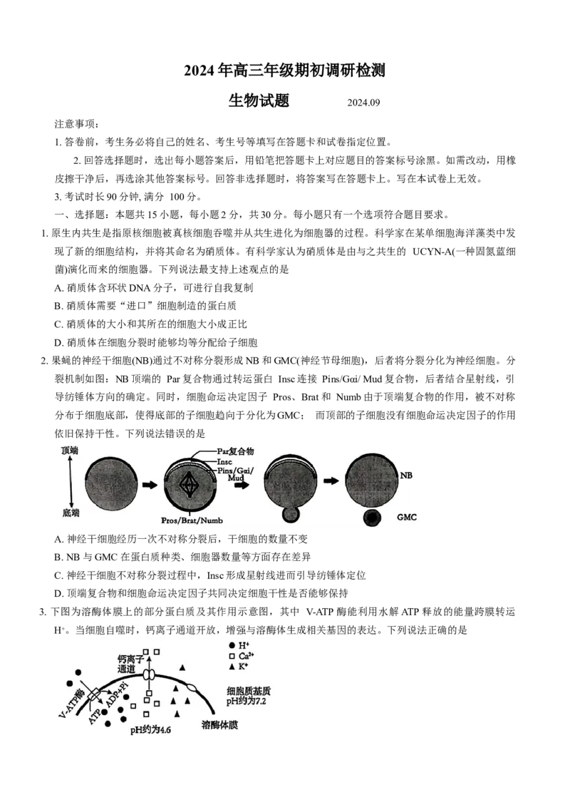 山东省青岛市2024---2025学年高三上学期期初考试生物试题_A1502026各地模拟卷（超值！）_9月_240912山东省青岛市2024年高三年级上学期9月期初调研检测