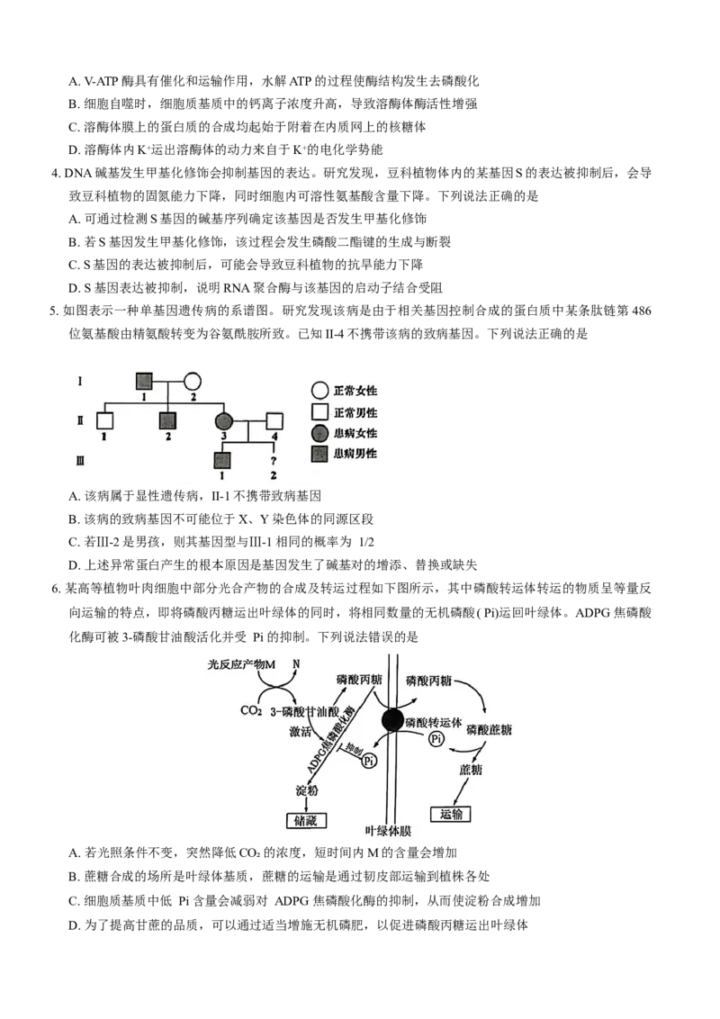山东省青岛市2024---2025学年高三上学期期初考试生物试题_A1502026各地模拟卷（超值！）_9月_240912山东省青岛市2024年高三年级上学期9月期初调研检测