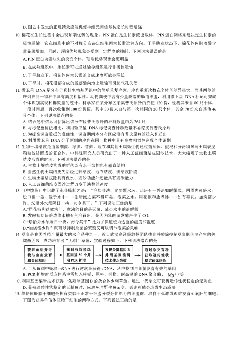 山东省青岛市2024---2025学年高三上学期期初考试生物试题_A1502026各地模拟卷（超值！）_9月_240912山东省青岛市2024年高三年级上学期9月期初调研检测