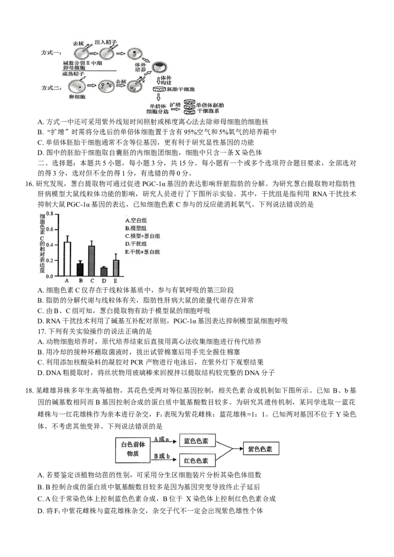 山东省青岛市2024---2025学年高三上学期期初考试生物试题_A1502026各地模拟卷（超值！）_9月_240912山东省青岛市2024年高三年级上学期9月期初调研检测