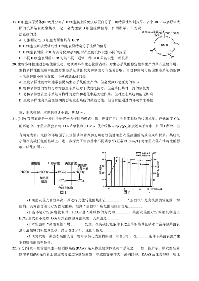 山东省青岛市2024---2025学年高三上学期期初考试生物试题_A1502026各地模拟卷（超值！）_9月_240912山东省青岛市2024年高三年级上学期9月期初调研检测